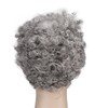 Curly Gray Short Afro Wig Synthetic Hairstyles Grey Black Short