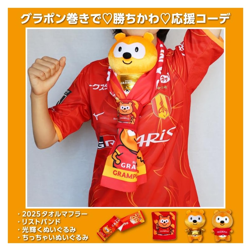 gran passpona wristband