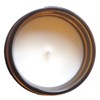 The Burlap Bag 9oz Soy Candles (Greetings from Austin)