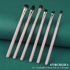 Eye Makeup Brush Set, 6 Pcs Professional Blending Eyeshadow Makeup