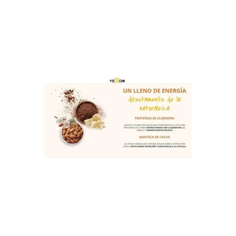Shampoo Y Mascarilla Repair Yellow Alfaparf Cabello Dañado