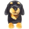 Dachshund (Black & Tan) Soft Toy 12"