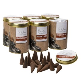 Pacific Giftware Dragon's Blood Jumbo Backflow Incense Cones, Set of 6 Tins, 20 Cones per Tin by Something Diffrerent UK