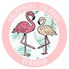 Blue Heron Two Flamingos Galapagos Islands Ecuador Car Truck Window