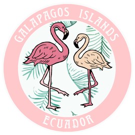 Blue Heron Two Flamingos Galapagos Islands Ecuador Car Truck Window Bumper Sticker Decal - Light Pink