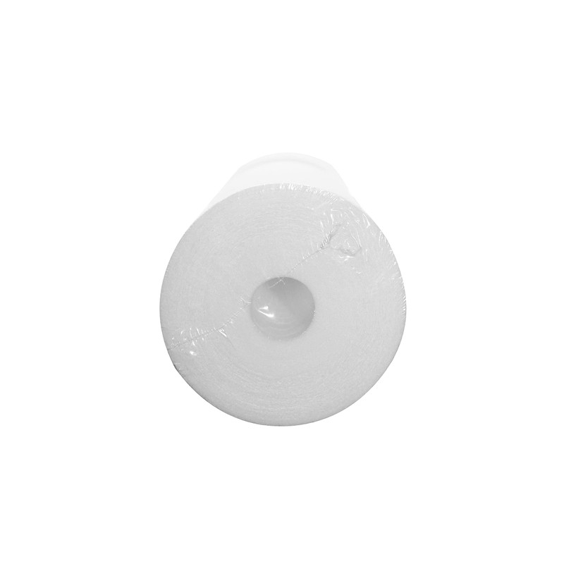 PureT BVB2000020 20x4.5" Water Sediment Filter - NSF Certified -
