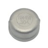 DAN SPEED Stainless Steel 304 Cast Threaded Pipe Fitting, Cap,