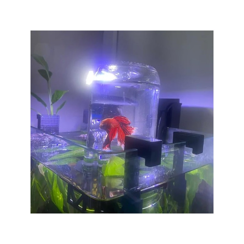 Inverted Betta Tank Holder Kit, 360-Degree Panoramic View for Betta