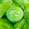 CNQ Moisture Gel ALN 2-Piece Set cenqur Full Body Aloe