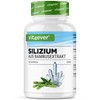 vit4ever Silicon - 365 Capsules - 500 mg Organic Silicon