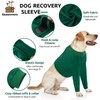 Queenmore Dog Surgery Recovery Sleeve Front Legs, Breathable Dog Recovery