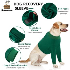 Queenmore Dog Surgery Recovery Sleeve Front Legs, Breathable Dog Recovery Sleeve, Elbow Protector Pet Cone Alternative After Surgery, Green, M