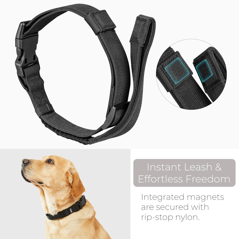 TUG Grab Collar | Integrated Traffic Leash Magnetically Attached for