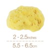 IntimateCare Sea Sponges. Mediterranean “Fine Silk” Sponges in Plastic Free