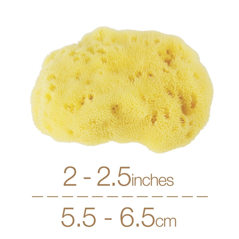 IntimateCare Sea Sponges. Mediterranean “Fine Silk” Sponges in Plastic Free