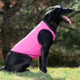 Terrain Dog Cooling Vest - Cooling Fabric Powered by Coolcore® Technology - Machine Washable Vest to Keep Your Pet Cool