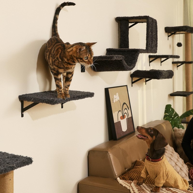 FUKUMARU Cat Wall Shelves, Stable & Safe 4 in 1