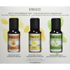 Homedics Essential Oil Set, Uplift and Energize with Lemon Citrol,