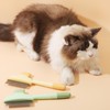 2 Pack Stainless Steel Flea Comb for Dogs & Cats