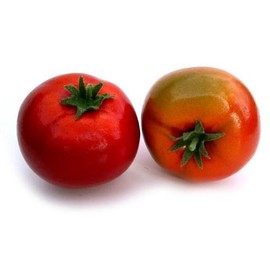 Artificial Fake Tomato Box of 12
