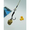 Nash Ronnie Claw Rig (Size 6 Barbless)
