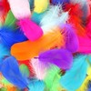 Mbsomnus Pack of 600 Feathers for Crafts, Colourful Feathers, Natural