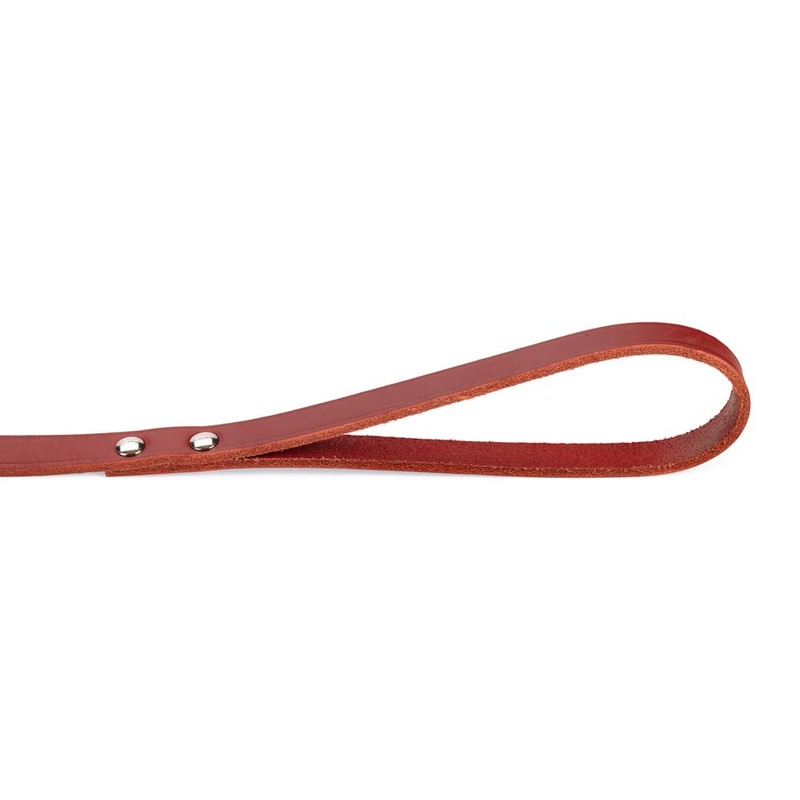 Karlie - Laisse Rondo Rivetée 16Mm 1M Rouge