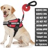 Service Dog Vest, DEWVIE Dog Harness and Leash Set with