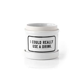 Brass Monkey I Could Really Use a Drink Plant Holder with Drip Tray â Vintage Inspired Plant Pot with Bold Artwork â Measures 4.42â in Diameter â Heavyweight Ceramic Pot with Drip Tray