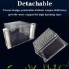 WEAVERBIRD Aquarium Fish Breeder Box, Acrylic Fish Isolation Breeding Box,