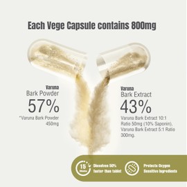 Herbsforever Varuna Nurvala Extract Capsules - Vegan & Gluten Free | Plant Based Supplement for Bladder & Kidney Function, 800 mg per Capsules (60 Nos)