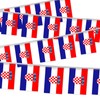 32FT Small Croatia Pennant Flag Bunting,30 PCS Mini String Banner