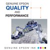 Epson 232 Claria Ink Cartucho Negro de Capacidad estándar (T232120-S)