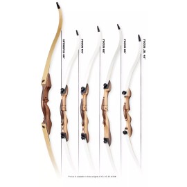 fuse Hoyt Fuse Focus RH 48” 16lbs Recurve Bow