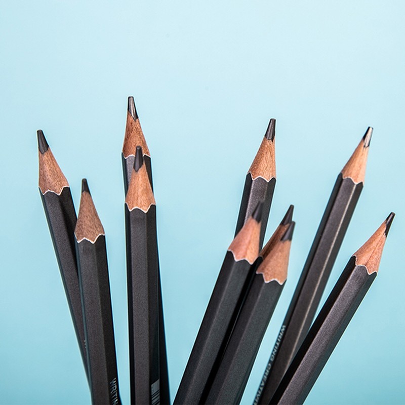 Delhi Deli Scribe Infinite Pencil Eraser Black Pencil 2B 12
