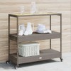 Udorich Versatile 3-Tier Bar Cart for Home and Outdoor Use,