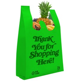 Bagways 300 PACK Reusable Shopping Bags 12.5 x 21.5, Nonwoven Eco-Friendly Material for Grocery and Gifts, Green