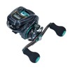 Daiwa (ダイワ) Light SW X IC SS L Bait Reel
