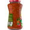 Pace Chunky Salsa, Hot, 16 oz