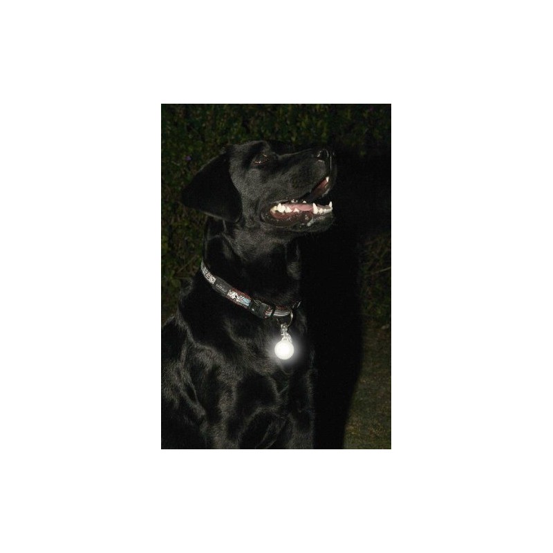 RogzliteSafety Light, White/ Glow