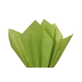 Tissue Paper Squares, Bulk 24 Sheets, Premium Gift Wrap and Art Supplies for Birthdays, Holidays, or Presents by A1BakerySupplies, Small 20 Inch x 30 Inch (Oasis Green)