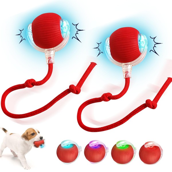 Pack of 2 Interactive Cat Toy Cat Ball with LED