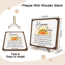 Sunshine Gift, Motivational Appreciation Gift for Women Men, Wooden Plaque Sign for Coworker Teacher Office Desk Home Decor Human Sunshine Gifts