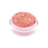 Blush Mineral Delhi