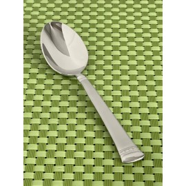 Waterford CARINA MATTE Stainless Teaspoon 18/10 Frosted Korea NEW Flatware