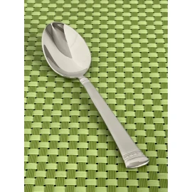 Waterford CARINA MATTE Stainless Teaspoon 18/10 Frosted Korea NEW Flatware