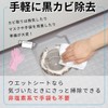 レック 激落ち 黒カビくん 浴室用 カビ取り ウェットシート(低刺激・非塩素系カビ取り剤配合) 10枚入 S00042