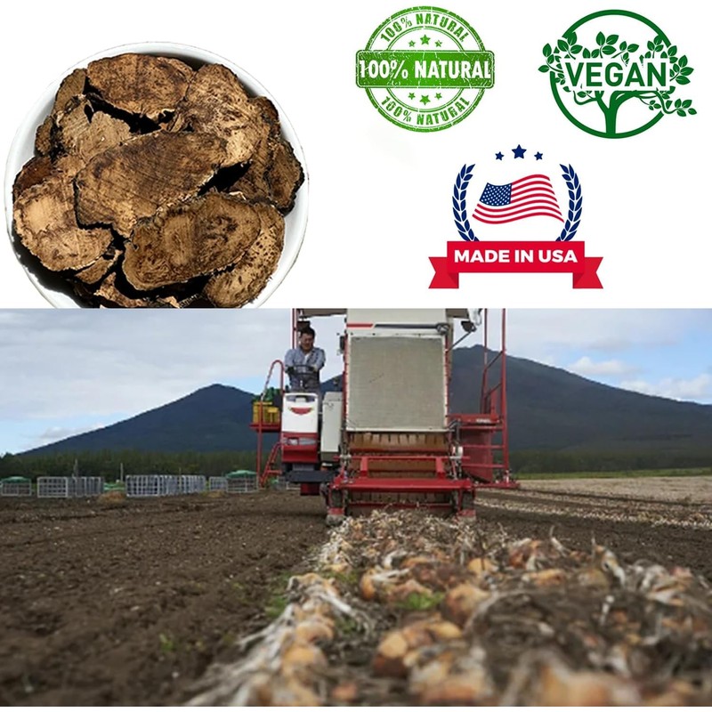 DABC OAK LAND Premium Maca Root Slices, Natural Premium Dry