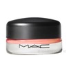 vein Mac Pro Long Wear Paint Eyeshadow Recommendation Art Terrapeach / 맥 프로 롱웨어 페인트 아이섀도우 추천 아트테라피치