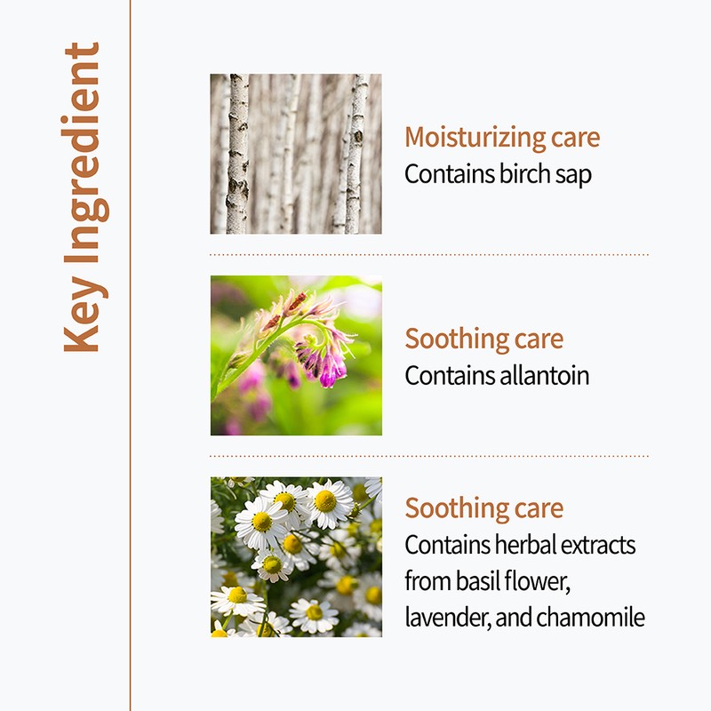 CNP Laboratory [CNP Laboratory]Deep Cleansing Perfecta 150ml